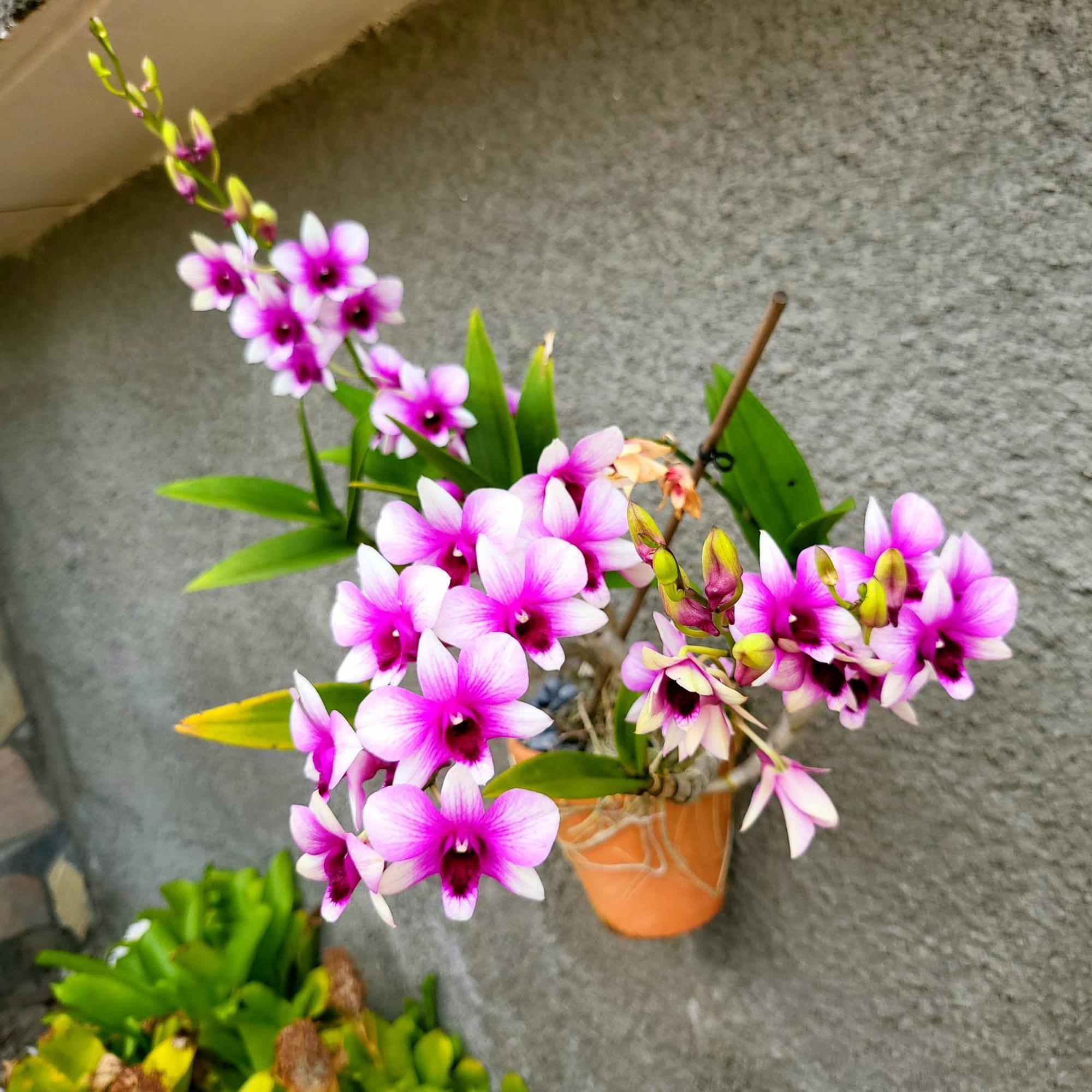 Residence Kay Mamy Zet เลอ ฟร็องซัว ภายนอก รูปภาพ
